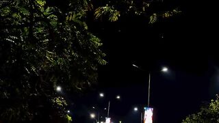 Song dil ne