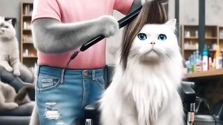 Animals who made a video to say: "We're not stupid - we're just too funny."