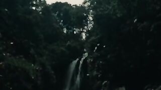 Setangguh karang