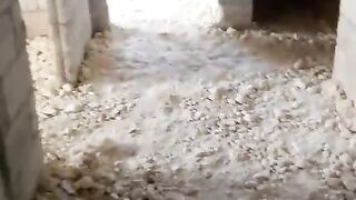 فيديو تجريبي