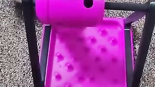 Keeping our feline friends