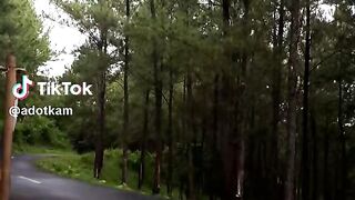 In forest