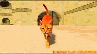 CS 1.6