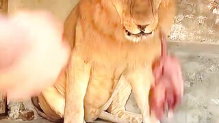 Why was the king angry?