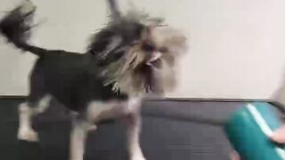 Why Men Are Actually Important Around The House (She Won't Admit It) ????