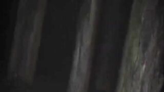 What is behind the tree #whatis #horror #horrorstories