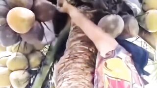 Mau ketawa takut dosa video  lucu bikin ngakak hiburan warga+62 #comedy #funny #lucu #trending #meme