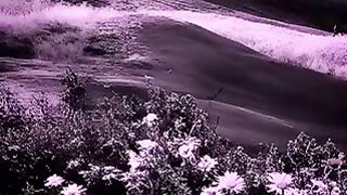 C0002
