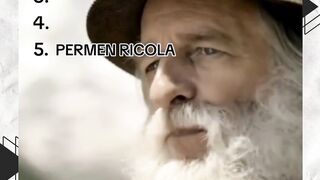 bola88