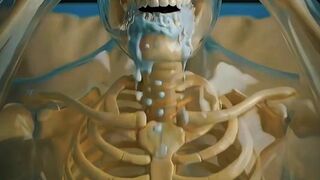 What actually happens if humans get rabies