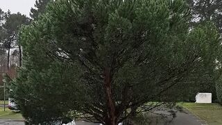 France ???????? vidéo.