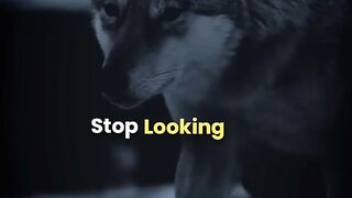 Sigma Rule ???? focus on money goa