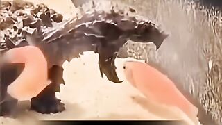 Patient is a time that count your success