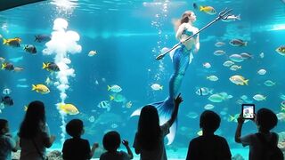 Mermaid