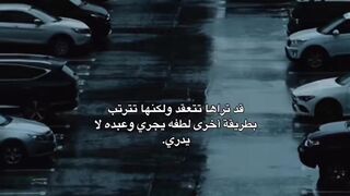 كلام جميل