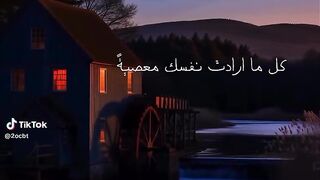 كلام جميل