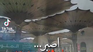 كلام جميل