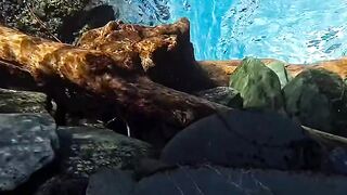 Switzerland Natural Beauty Video