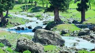 switzerland beautiful Beauty