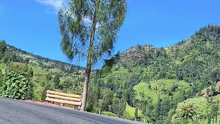 Jalan Ngadirejo dieng