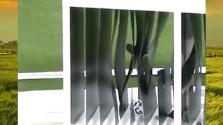 Tantangan Tendangan Para Legenda Satu tendangan, sejuta kelas. Legenda emang beda. ????????