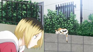 Haikyuu Part 2