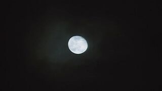 Night Woman (1986) - 1