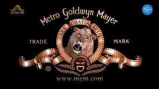 Two Moon Junction (1988) - 1