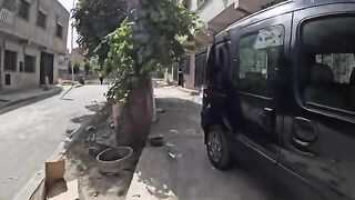 The kittens gather around the mama cat on the street and suck the milk from her.