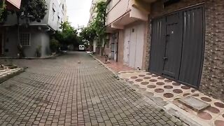All stray cats want love from their lady at the same time.