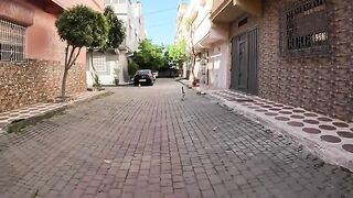 Helping stray cats will plant smiles and love in our hearts.