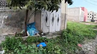 Mama Cat needed to cuddle her kittens after they returned after being stolen from them.