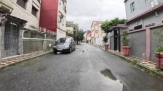 The stray cat tries to take us to the food car again and again.