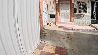 Mama the stray cat was following us and saying, “I want a bed for my kittens.”