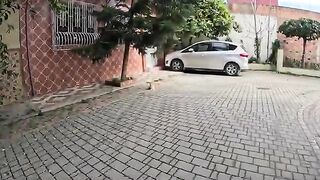 Stray cats put a smile on our face every day and warm our heart.