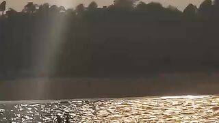 videos