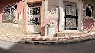 The friendly white kitten is sunbathing, waiting for someone to pet her and feed her.