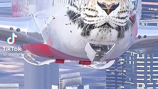 Boeing 747 rossiya