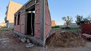 The cute cat is impatiently waiting for the construction of the cat shelter to be finished.