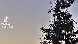 A0000