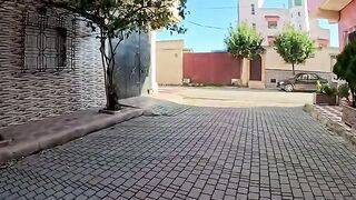 Cute Stray cat friends appear when offering food bowls.