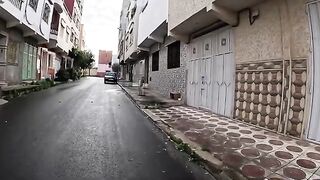 Cute tortoiseshell kittens trying to meow loudly for food.
