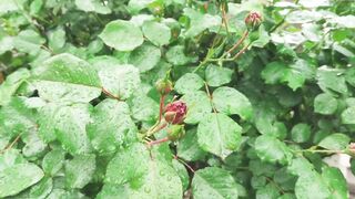 See more information