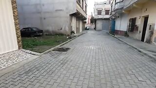 The cute cat family found nothing to eat except fish remains thrown on the ground.