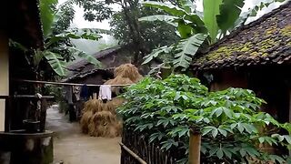 light rain in the village