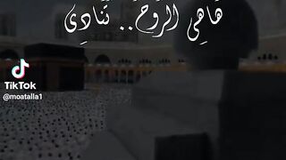 نشيد جميل