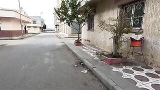 The stray cat asked for food with a cute meow.