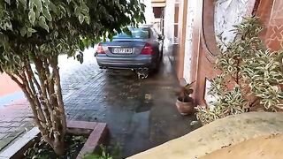 Love and food can solve the many problems that occur among stray cats.