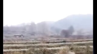 أنضر للسمك في آخر الفيديو