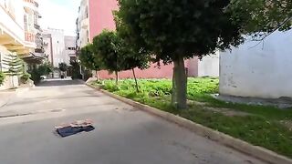 As soon as the hungry cats saw me, they came asking for food with a cute meow.